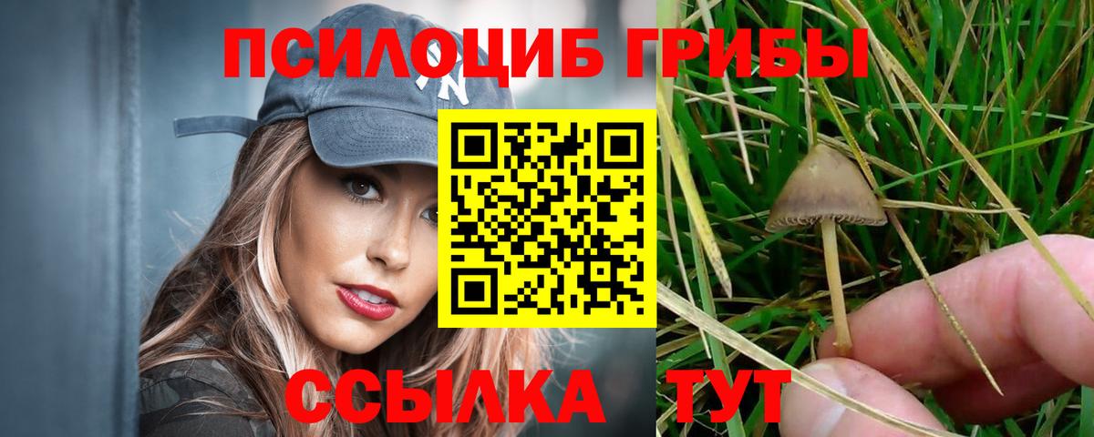 Галлюциногенные грибы Cubensis Октябрьский